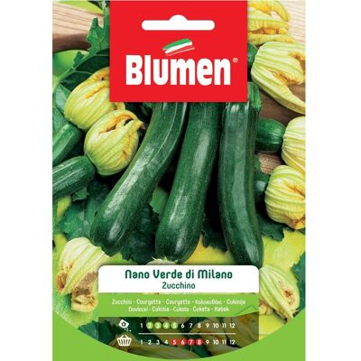 Blumen Semi Zucchino nano verde di Milano 20 g Blumen Semi Zucchino nano verde di Milano 20 g