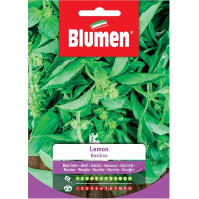 Blumen Semi Basilico lemon Blumen Semi Basilico lemon