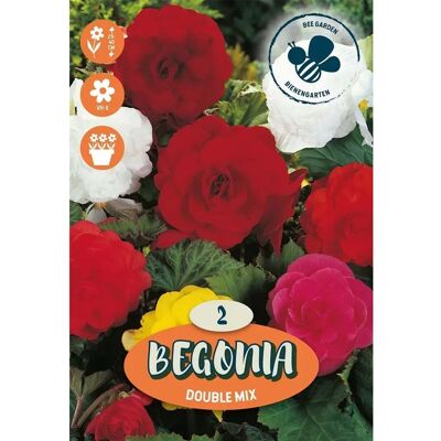 Royal De Ree Holland Bulbi da fiore Begonia Double Mix Royal De Ree Holland Bulbi da fiore Begonia Double Mix