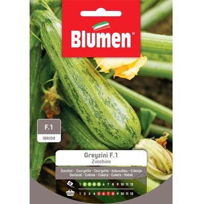 Semi di Zucchino Greyzini Blumen - Semi di Verdure Semi di Zucchino Greyzini Blumen - Semi di Verdure