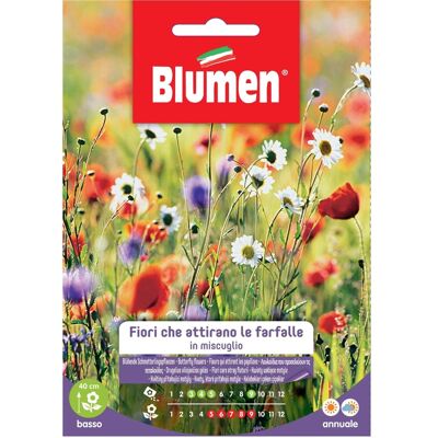 Blumen Semi miscuglio di fiori che attirano le farfalle Blumen Semi miscuglio di fiori che attirano le farfalle