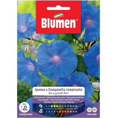 Blumen Semi Ipomea o campanella rampicante blu Blumen Semi Ipomea o campanella rampicante blu