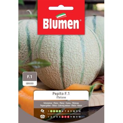 Blumen Melone Pepito F.1 - Melone Blumen Melone Pepito F.1 - Melone