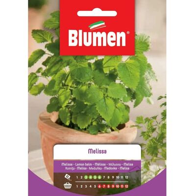 Blumen Semi Melissa Blumen Semi Melissa