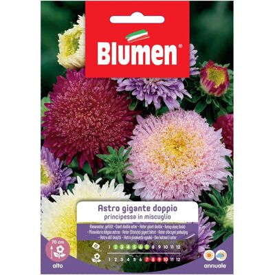 Blumen Semi Astro principessa in miscuglio Blumen Semi Astro principessa in miscuglio