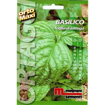 Semi aromi Basilico foglia Semi aromi Basilico foglia