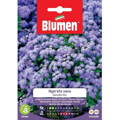 Blumen Semi Agerato nano blu Blumen Semi Agerato nano blu
