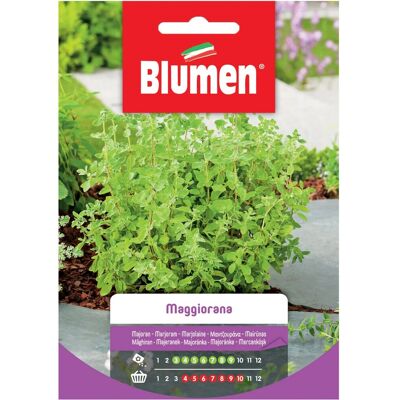SEMI DI MAGGIORANA BLUMEN - Erba aromatica per cucina SEMI DI MAGGIORANA BLUMEN - Erba aromatica per cucina