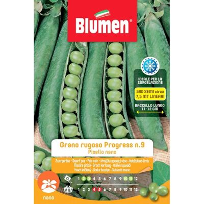 Blumen Semi Piselli nani grano rugoso Progress 9 250 g Blumen Semi Piselli nani grano rugoso Progress 9 250 g