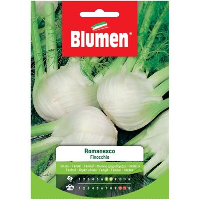 Blumen Semi Finocchio romanesco Blumen Semi Finocchio romanesco