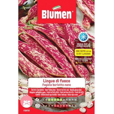 Blumen Semi Fagioli borlotti nani Lingua di fuoco 250 g Blumen Semi Fagioli borlotti nani Lingua di fuoco 250 g
