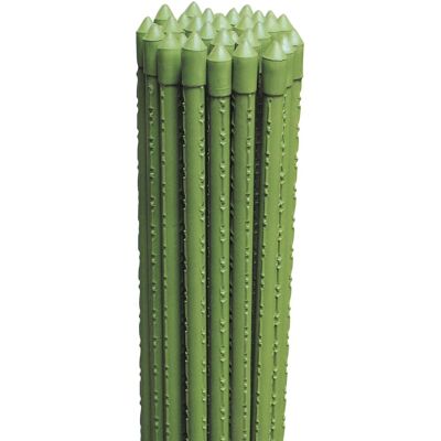 Canna metallo plastificata per piante 210 cm Canna metallo plastificata per piante 210 cm