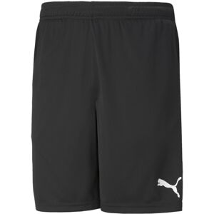 PUMA Teamrise Training Shorts L PUMA Teamrise Training Shorts L