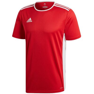 Adidas T-shirt Entrada 18 Uomo XXL7-8A Adidas T-shirt Entrada 18 Uomo XXL7-8A