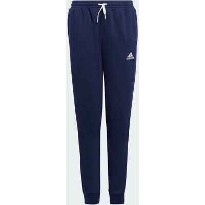 ADIDAS Ent22 Sw Pnty 15-16A ADIDAS Ent22 Sw Pnty 15-16A