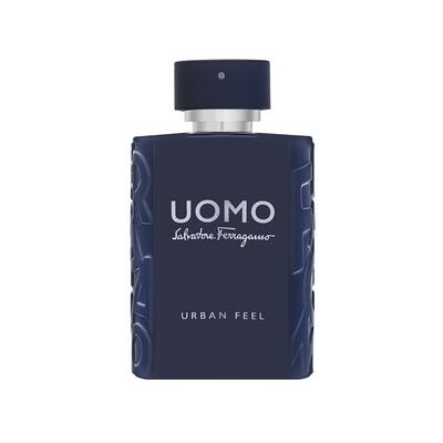 Salvatore Ferragamo Uomo Urban Feel Eau de Toilette da uomo 100 ml Salvatore Ferragamo Uomo Urban Feel Eau de Toilette da uomo 100 ml