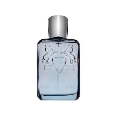 Parfums de Marly Castley Eau de Parfum da uomo 125 ml Parfums de Marly Castley Eau de Parfum da uomo 125 ml