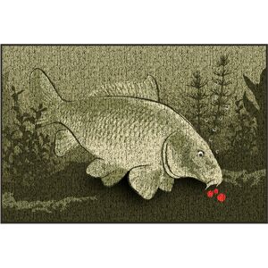 Delphin Zerbino CatchME! CARPA I 60x40cm Delphin Zerbino CatchME! CARPA I 60x40cm