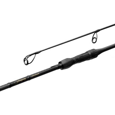 Delphin StingRAY 300cm/3.0lbs/2 sezioni Delphin StingRAY 300cm/3.0lbs/2 sezioni