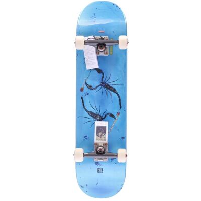 GLOBE Skateboard Assemblato Uomo G2 Rholtsu Blue/white GLOBE Skateboard Assemblato Uomo G2 Rholtsu Blue/white