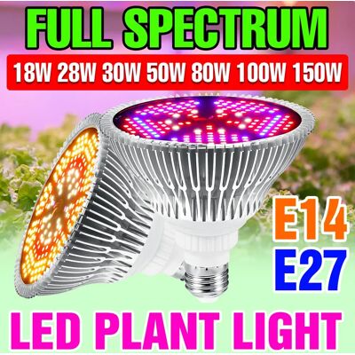 NONE 150W E27/E14 LED Coltiva La Luce Spettro Completo Lampada per Piante UV IR Fiore Interno Piante grasse Coltivazione di Verdure Lampadina per Crescita AC110-240V NONE 150W E27/E14 LED Coltiva La Luce Spettro Completo Lampada per Piante UV IR Fiore Interno Piante grasse Coltivazione di Verdure Lampadina per Crescita AC110-240V