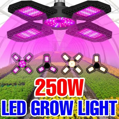 CanLing 250W E27/E26 Lampada da coltivazione a LED Spettro completo Pieghevole Pianta di riempimento Illuminazione Verdura Frutta Coltivazione idroponica 100W/150W/200W CanLing 250W E27/E26 Lampada da coltivazione a LED Spettro completo Pieghevole Pianta di riempimento Illuminazione Verdura Frutta Coltivazione idroponica 100W/150W/200W