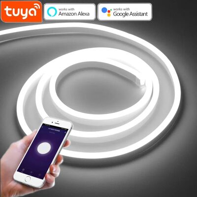 NONE Spina ue Tuya Smart Life LED Neon Light Strip controllo WIFI DC12V/24V 120LED/M lampada a tubo flessibile a corda funziona con Alexa Google Home NONE Spina ue Tuya Smart Life LED Neon Light Strip controllo WIFI DC12V/24V 120LED/M lampada a tubo flessibile a corda funziona con Alexa Google Home