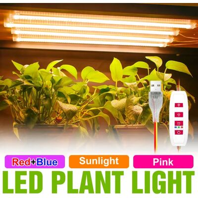 NONE LED Pianta Coltiva La Barra Luminosa Spettro Completo USB Lampada di Riempimento in Vaso per Interni 5V Dimmerabile Succulente Semina di Fiori Cactus Coltiva Le Lampade NONE LED Pianta Coltiva La Barra Luminosa Spettro Completo USB Lampada di Riempimento in Vaso per Interni 5V Dimmerabile Succulente Semina di Fiori Cactus Coltiva Le Lampade