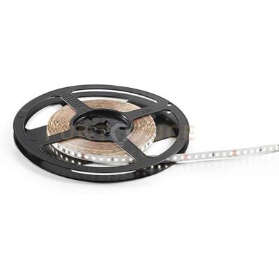 Gea luce Gst120c- Striscia Led 5mt 3000k 6000lm 9,6w Ip20 Gea luce Gst120c- Striscia Led 5mt 3000k 6000lm 9,6w Ip20