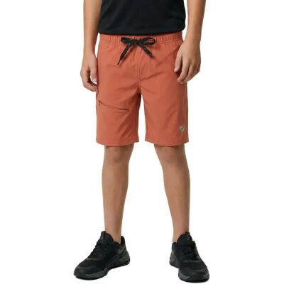 Ziener Pantaloncini Con Fondello Nedis X-function Chestnut Ziener Pantaloncini Con Fondello Nedis X-function Chestnut