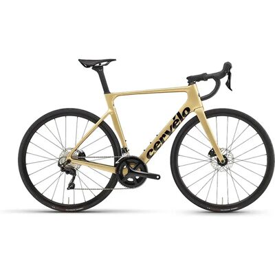 Cervelo Bicicletta Da Strada Soloist 105 R7000 2023 Gold Dust Cervelo Bicicletta Da Strada Soloist 105 R7000 2023 Gold Dust