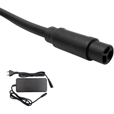 Mvtek Caricabatterie 36v X 2ah E-bike Free/horizonte/onroad/ontour/voyager Black One Size Mvtek Caricabatterie 36v X 2ah E-bike Free/horizonte/onroad/ontour/voyager Black One Size