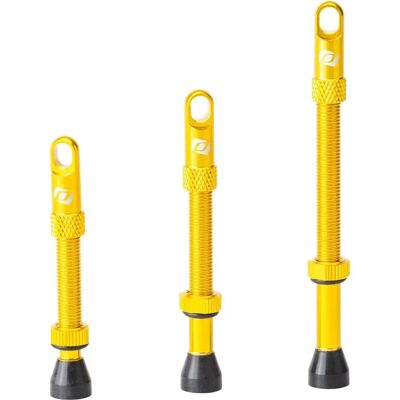 Valvola Tubeless Syncros 80mm - Accessorio Bici Valvola Tubeless Syncros 80mm - Accessorio Bici