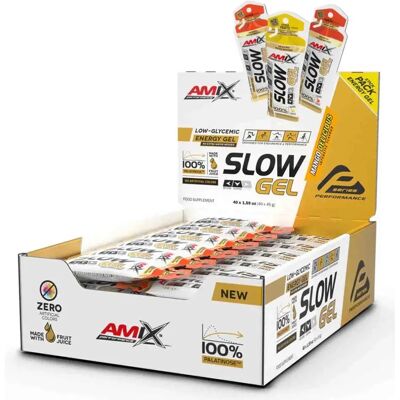 AMIX Performance Slow Palatinose Gel - Energia - Lunga Durata AMIX Performance Slow Palatinose Gel - Energia - Lunga Durata
