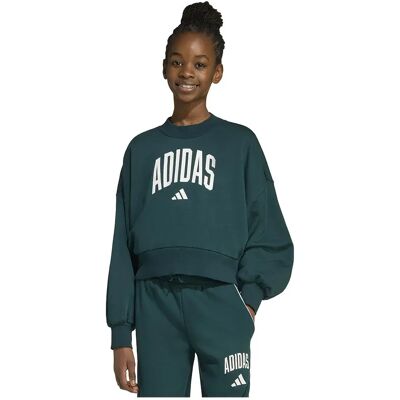 Adidas Felpa Seasonals Essentials Collegiate Typography Crewneck Aurora Ivy / White 9-10 Anni Adidas Felpa Seasonals Essentials Collegiate Typography Crewneck Aurora Ivy / White 9-10 Anni