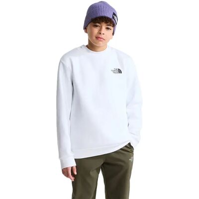 The North Face Felpa Evolution Box Nse TNF White XS The North Face Felpa Evolution Box Nse TNF White XS