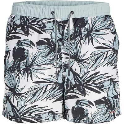 Jack & Jones Pantaloncino Da Bagno Fiji Plain Wb Gray Mist 46 Jack & Jones Pantaloncino Da Bagno Fiji Plain Wb Gray Mist 46