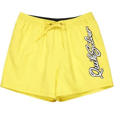 Quiksilver Pantaloncino Da Bagno Everyday Malibu Volley 15´´ Acacia M Quiksilver Pantaloncino Da Bagno Everyday Malibu Volley 15´´ Acacia M
