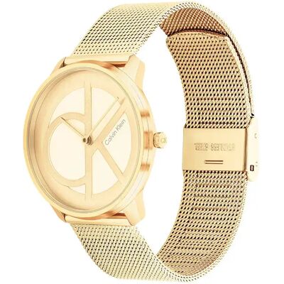 Calvin Klein Watches Orologio 2520003 35 Mm Gold / Gold / Mineral One Size Calvin Klein Watches Orologio 2520003 35 Mm Gold / Gold / Mineral One Size