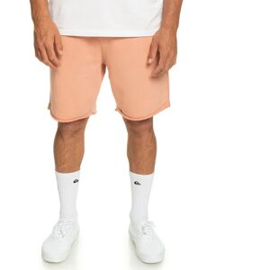Quiksilver Pantaloni Corti Sportivi Trip Away Cafe Creme L Quiksilver Pantaloni Corti Sportivi Trip Away Cafe Creme L