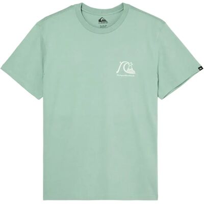 Quiksilver Maglietta A Maniche Corte Evo Original Bs Iceberg Green M Quiksilver Maglietta A Maniche Corte Evo Original Bs Iceberg Green M