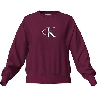 Calvin Klein Jeans Felpa Lv07e825g Berry Glaze XS Calvin Klein Jeans Felpa Lv07e825g Berry Glaze XS