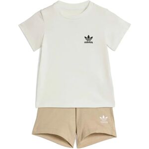 Adidas Originals Set Shorts Tee Stone Khaki 12-24 Mesi Adidas Originals Set Shorts Tee Stone Khaki 12-24 Mesi