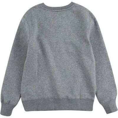 Levi´s ® Kids Felpa Batwing Grey Heather 6 Anni Levi´s ® Kids Felpa Batwing Grey Heather 6 Anni