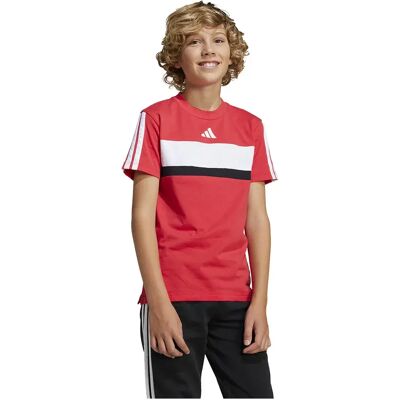 Adidas Maglietta A Maniche Corte Seasonal Essentials Tiberio 3 Stripes Pure Ruby / White 13-14 Anni Adidas Maglietta A Maniche Corte Seasonal Essentials Tiberio 3 Stripes Pure Ruby / White 13-14 Anni