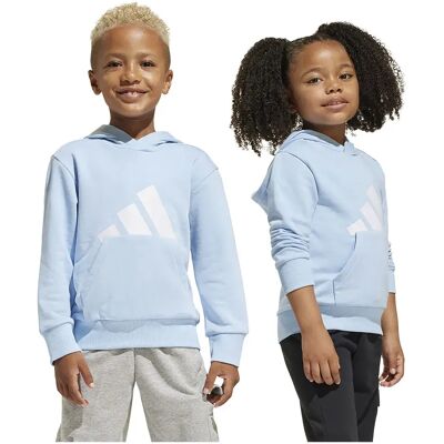 Adidas Felpa Con Cappuccio Essentials Big Logo Glow Blue / White 5-6 Anni Adidas Felpa Con Cappuccio Essentials Big Logo Glow Blue / White 5-6 Anni