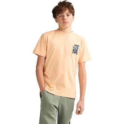 Petrol Industries Maglietta A Maniche Corte B-1060-tsr675 Tropical Orange 5-6 Anni Petrol Industries Maglietta A Maniche Corte B-1060-tsr675 Tropical Orange 5-6 Anni