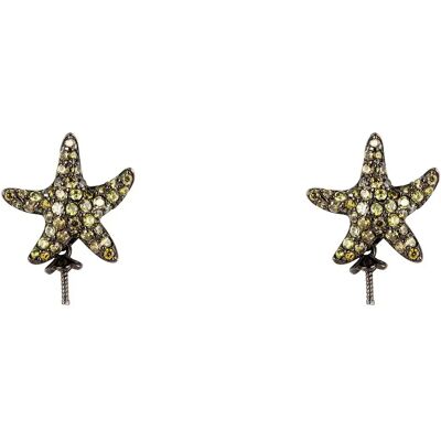 Lancaster Orecchini Jla-ear-star3 Green / Ip Black One Size Lancaster Orecchini Jla-ear-star3 Green / Ip Black One Size