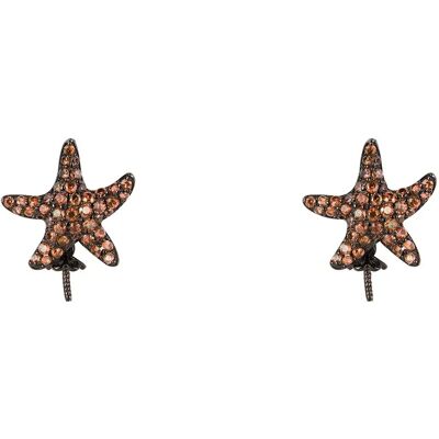 Lancaster Orecchini Jla-ear-star Brown / Ip Black One Size Lancaster Orecchini Jla-ear-star Brown / Ip Black One Size