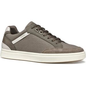 Geox Sneaker Baltmoore B Dove Grey EU 39 Geox Sneaker Baltmoore B Dove Grey EU 39